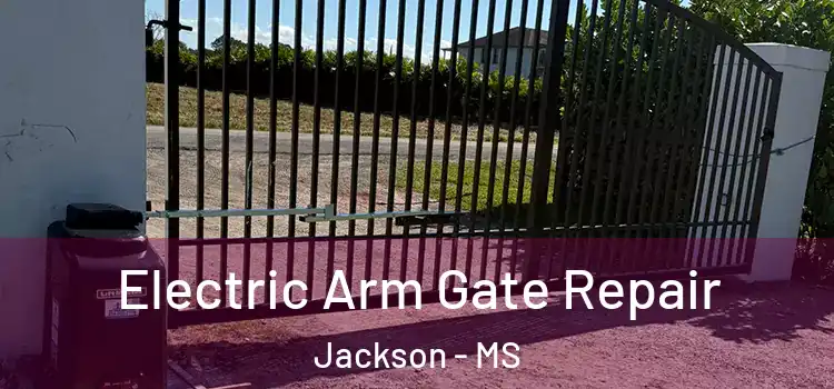 Electric Arm Gate Repair Jackson - MS
