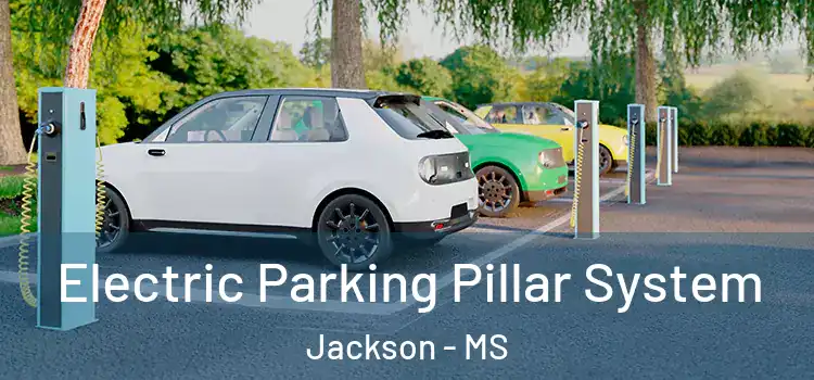 Electric Parking Pillar System Jackson - MS